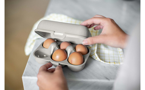 Eierbox EGGS TO GO